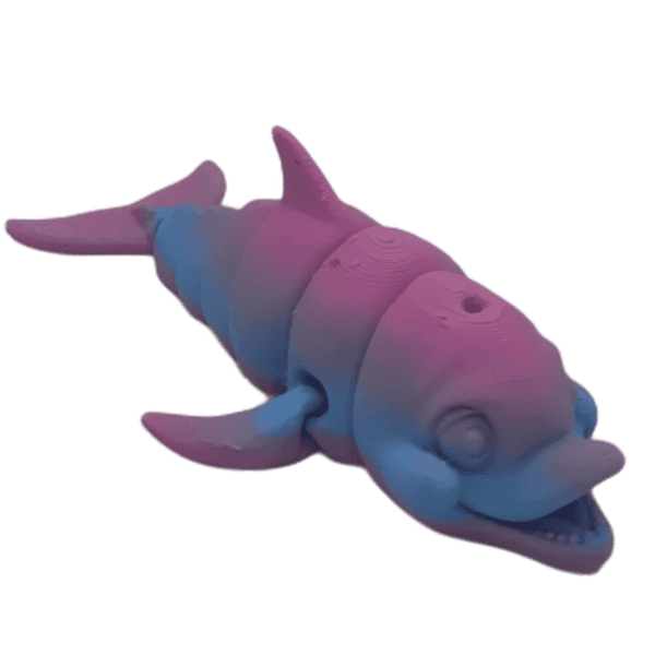 Dolphin - Image 3