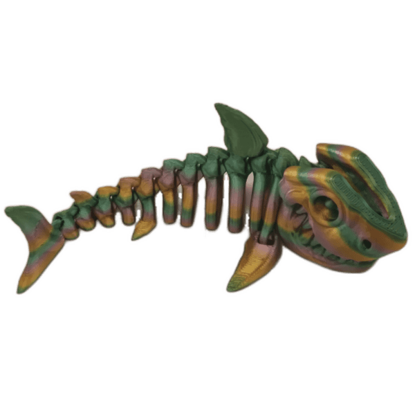Shark - Image 3