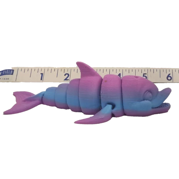 Dolphin - Image 2
