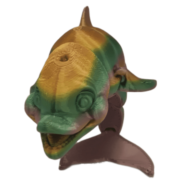 Dolphin